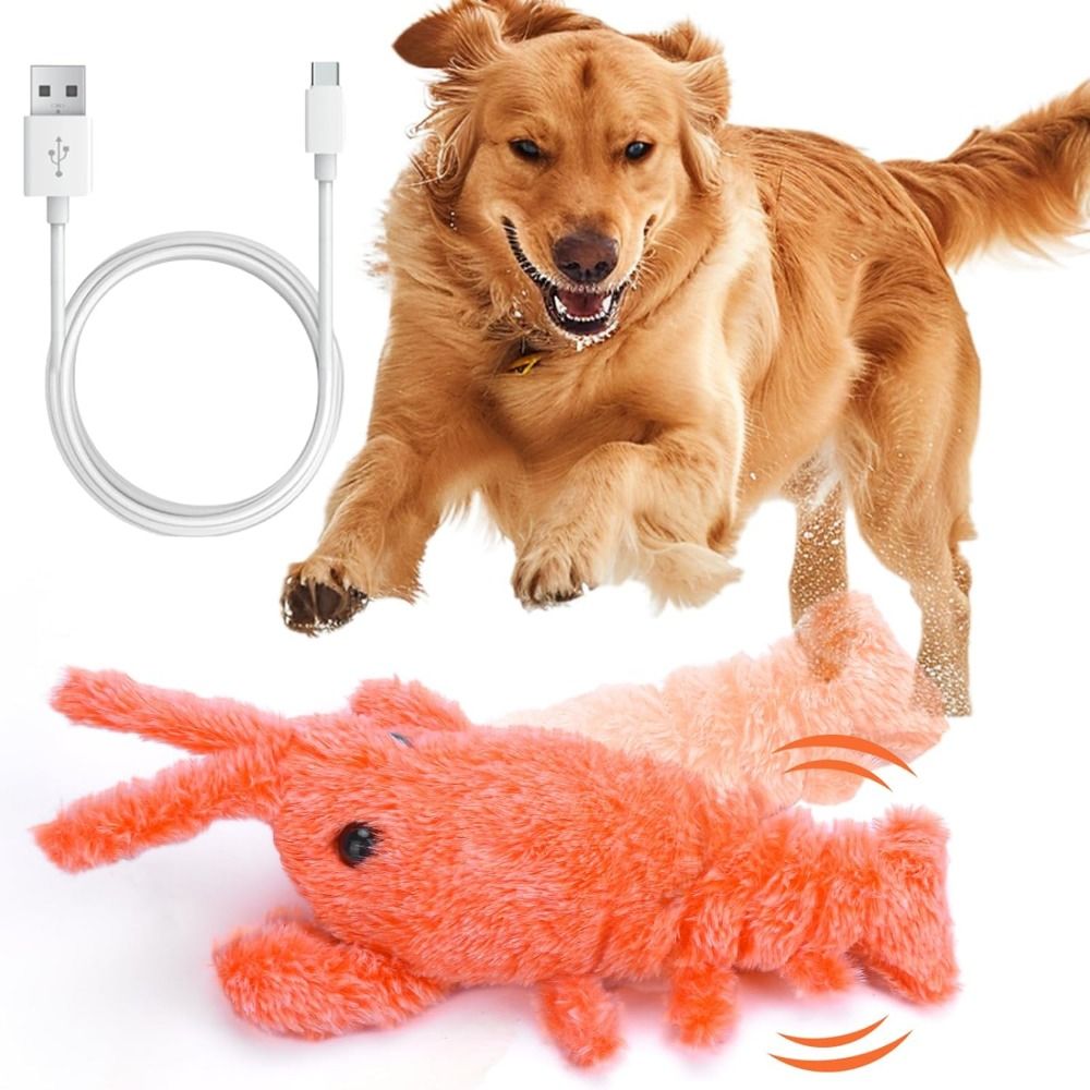 Power Tools Cat - USB Şarjlı Istakoz Kedi Oyuncağı Dans